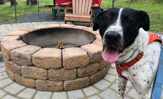 Dawn S.'s photo of camping with pets at Quechee-Pine Valley KOA near Hanover, NH