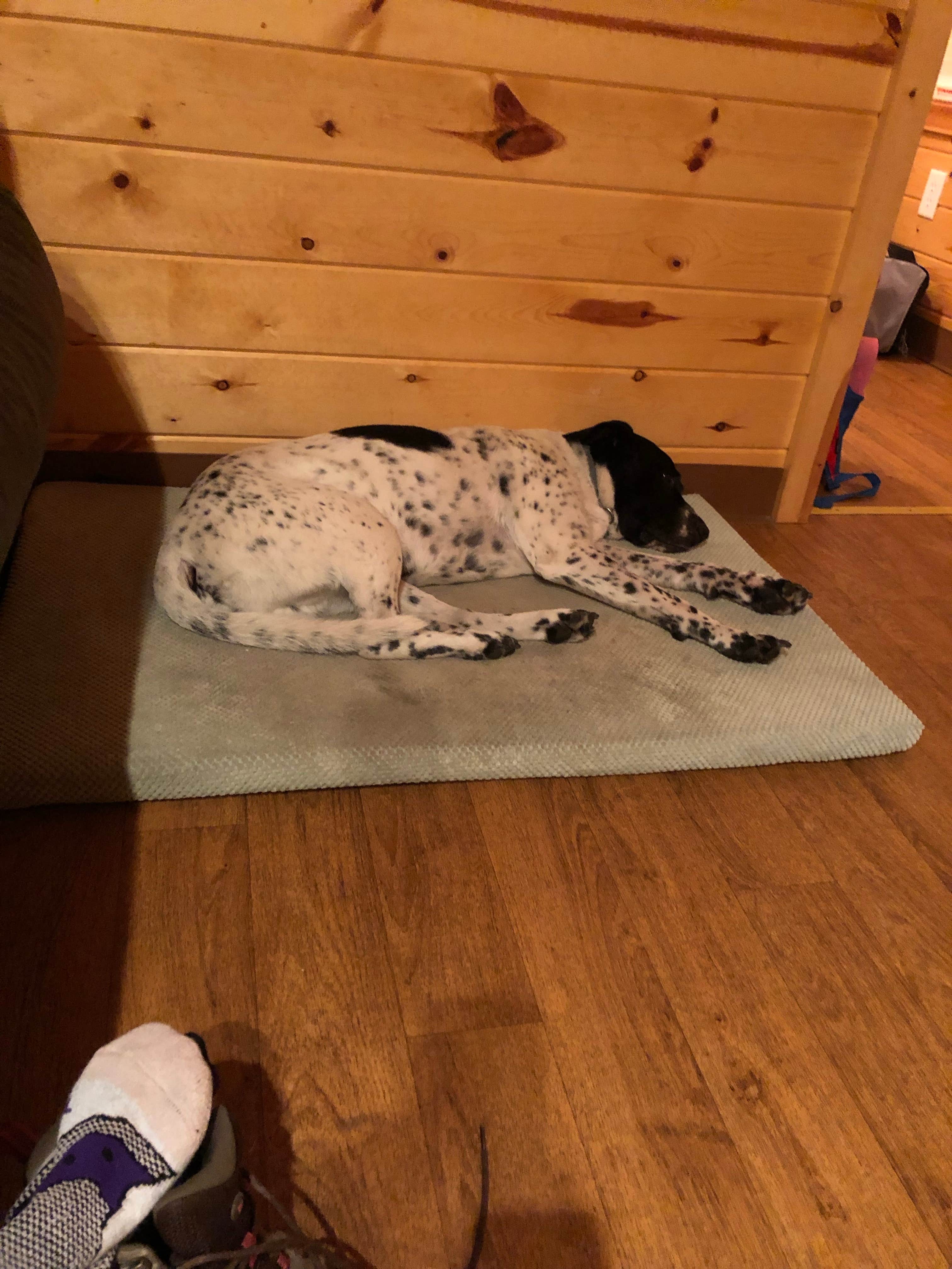 Camper-submitted photo at Quechee-Pine Valley KOA near Lyme, NH