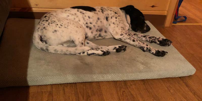 Camper submitted image from Quechee-Pine Valley KOA