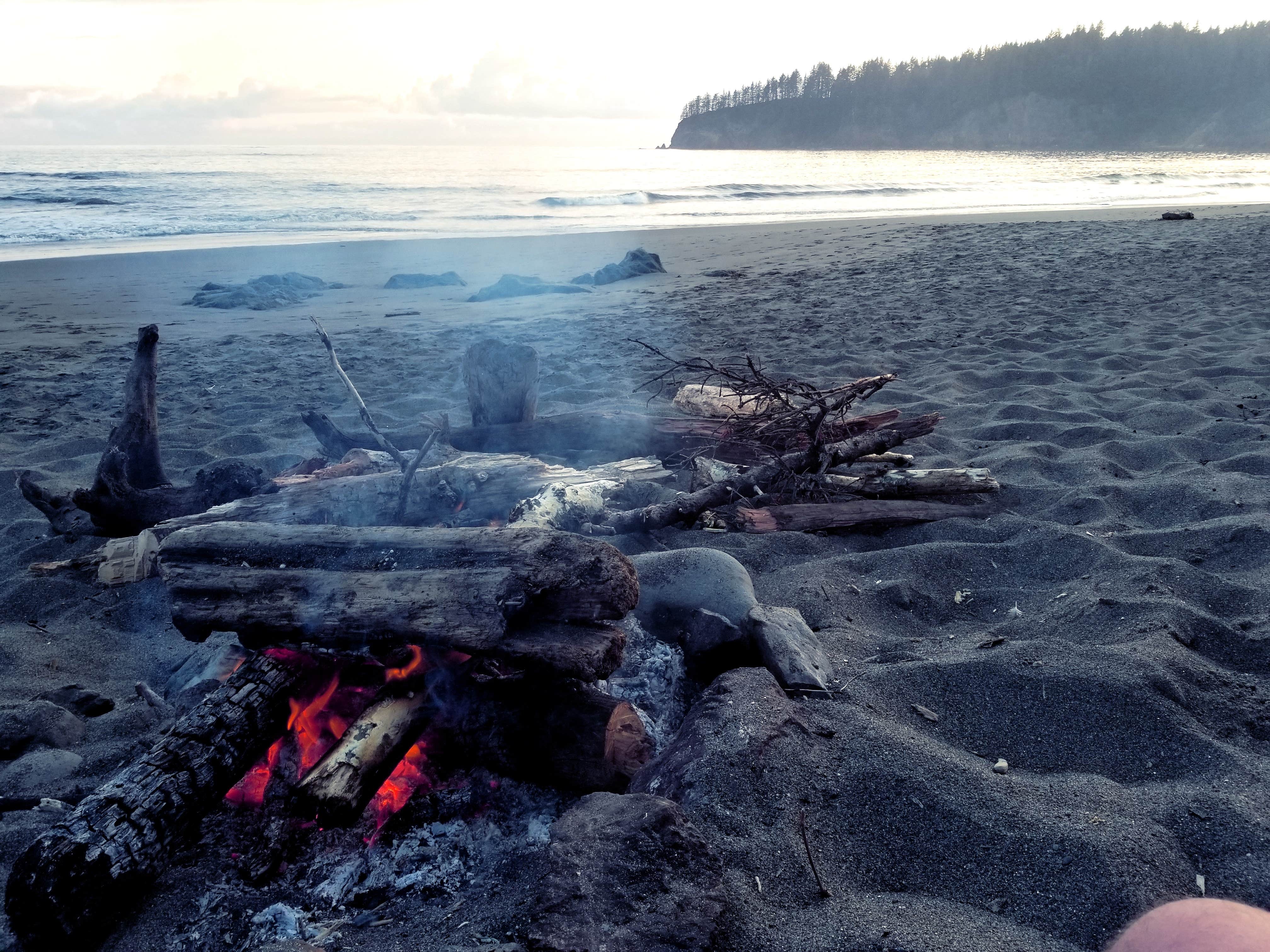 Camper-submitted photo at South Beach Campground — Olympic National Park near Taholah, WA
