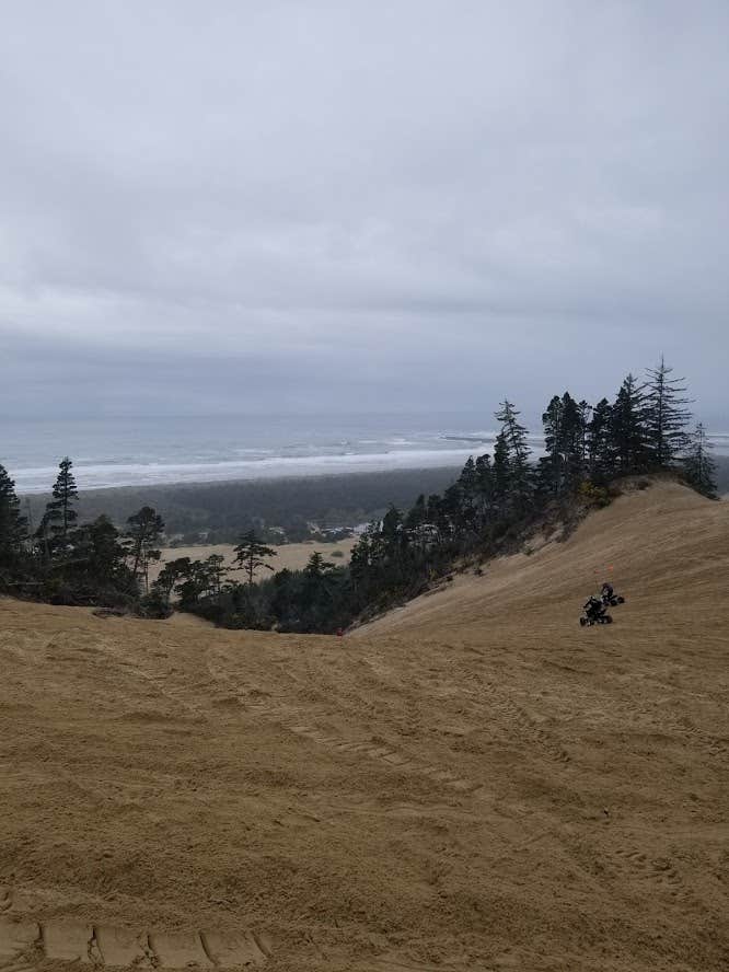 Camper submitted image from Umpqua Sand Camping - 4