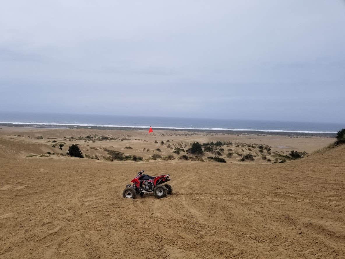Camper submitted image from Umpqua Sand Camping - 5