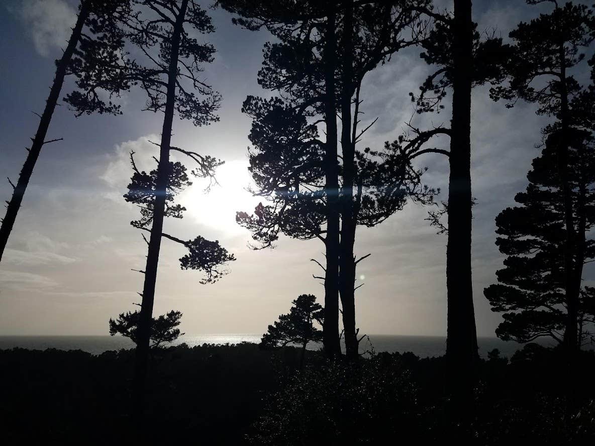 Nature