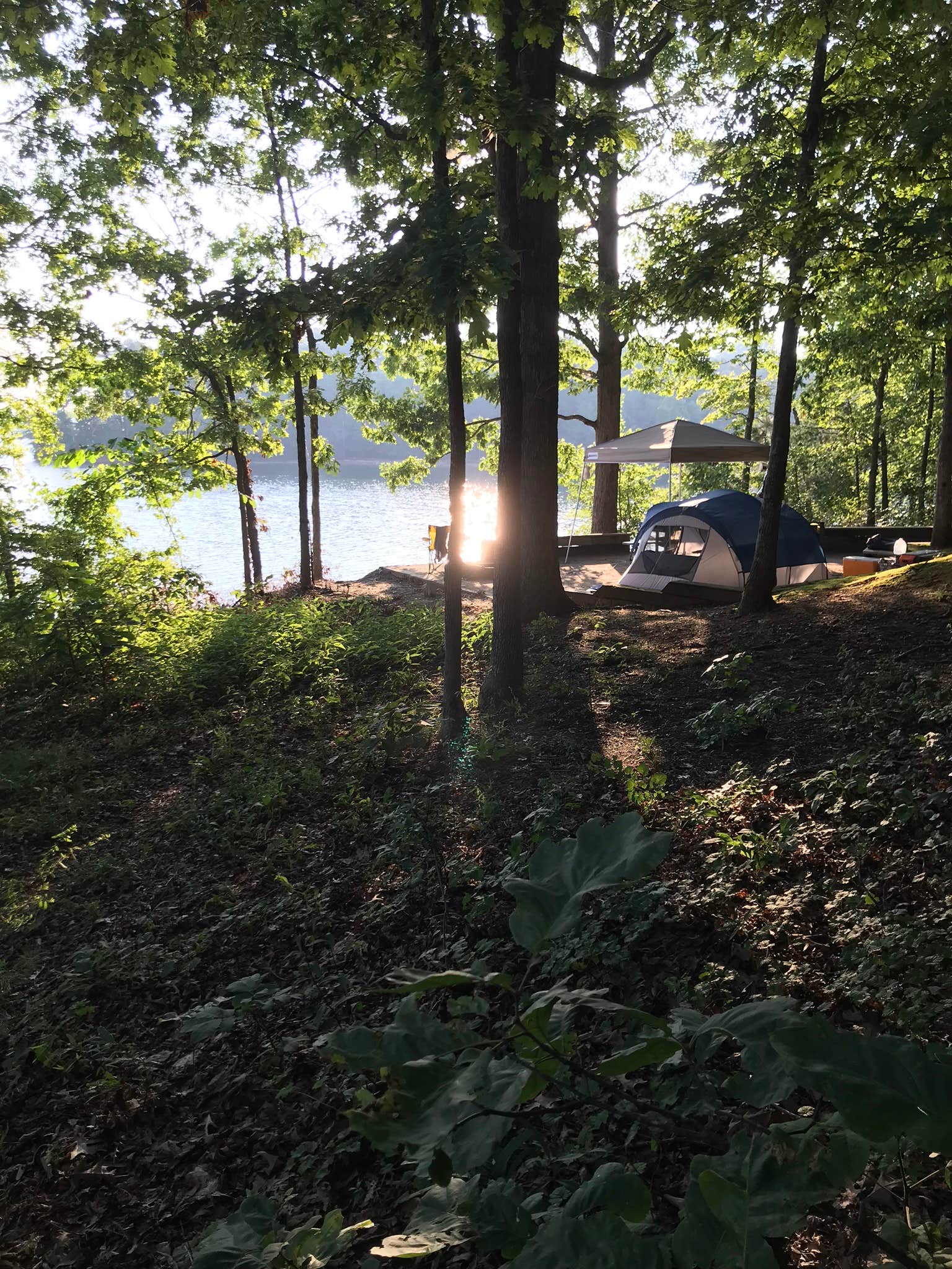 Padget M.'s photo at Twin Lakes at Lake Hartwell near Hartwell Lake