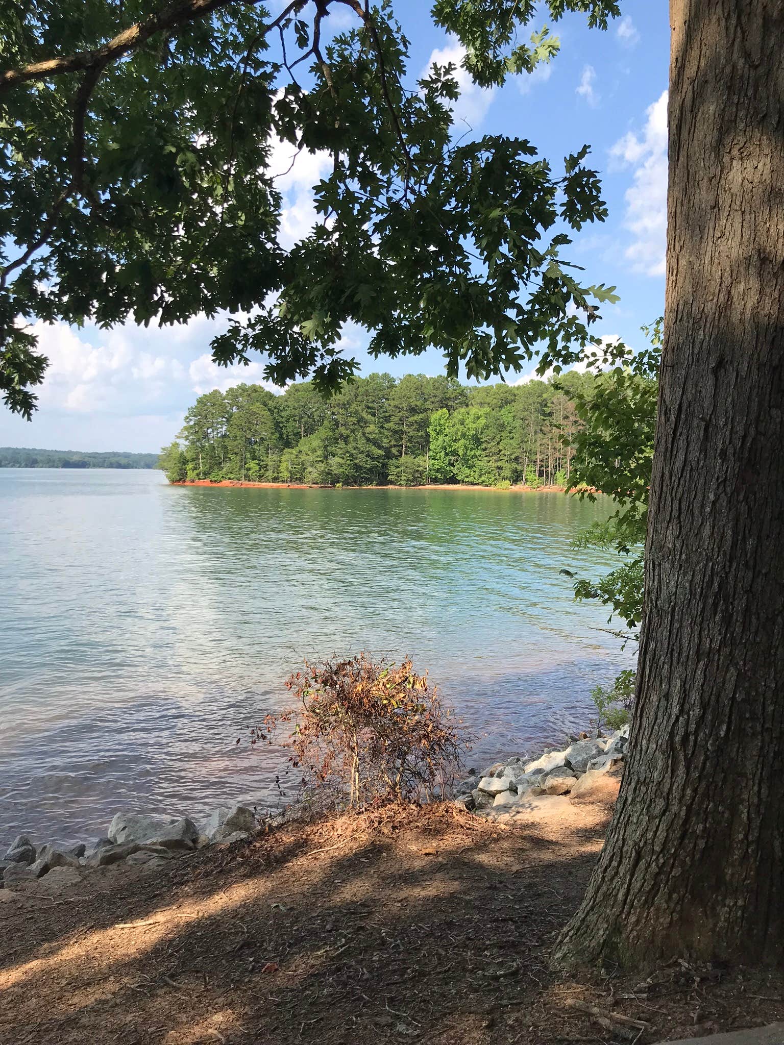 Camper submitted image from Twin Lakes at Lake Hartwell - 2