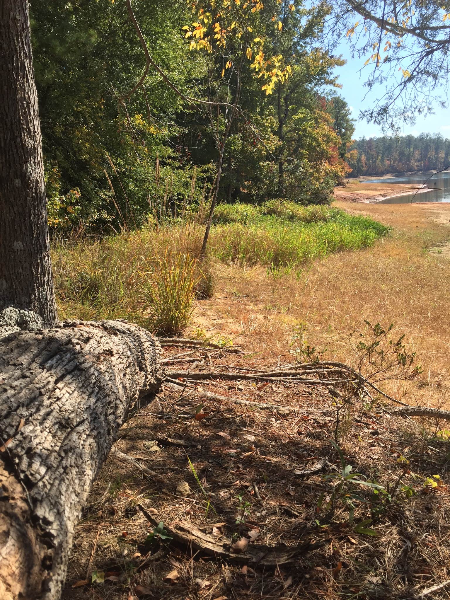 Camper-submitted photo at Hickory Knob near Evans, GA