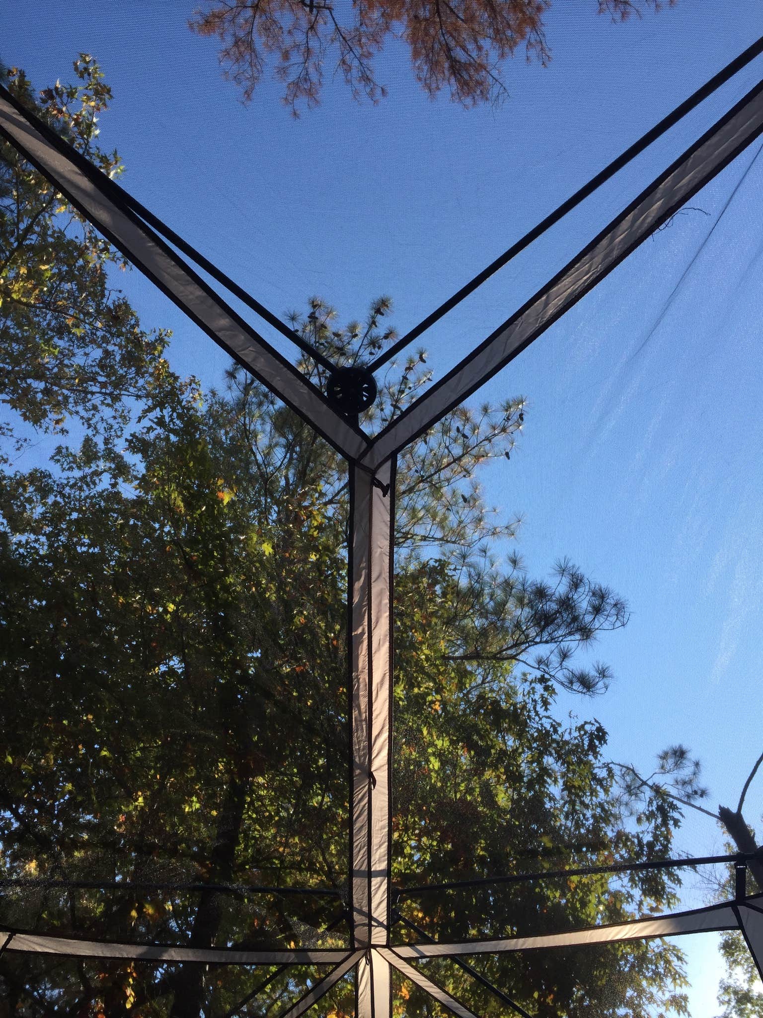 Camper-submitted photo at Hickory Knob near Evans, GA