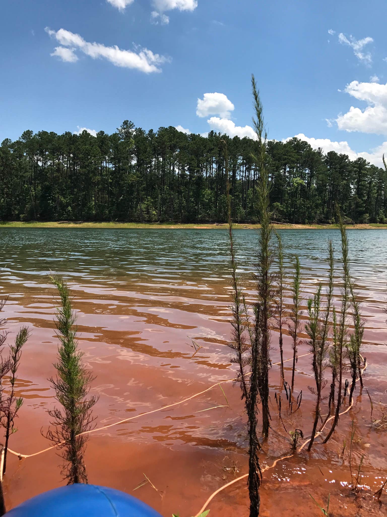 Camper-submitted photo at Hickory Knob near Evans, GA