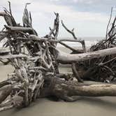 Review photo of Hunting Island State Park Campground by Padget M., May 30, 2020