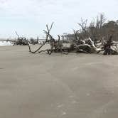 Review photo of Hunting Island State Park Campground by Padget M., May 30, 2020