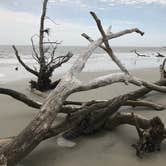 Review photo of Hunting Island State Park Campground by Padget M., May 30, 2020