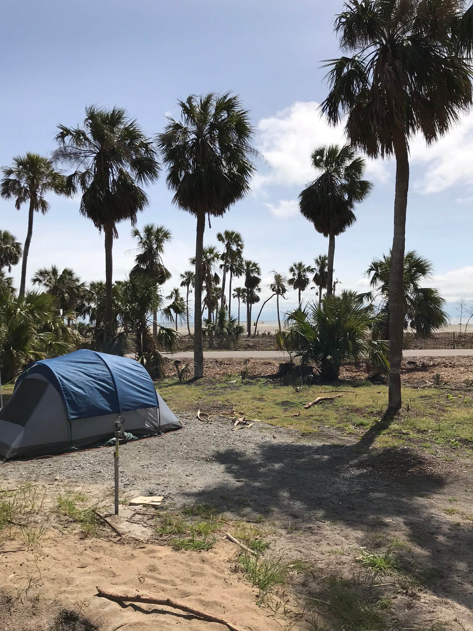 Padget M.'s photo at Hunting Island State Park Campground near Port Royal, SC