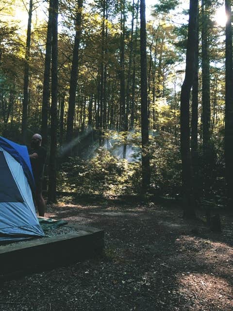 Camper submitted image from Gorges State Park Campground - 5