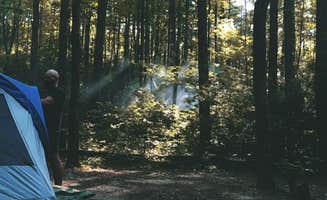 Padget M.'s photo at Gorges State Park Campground near Rosman, NC