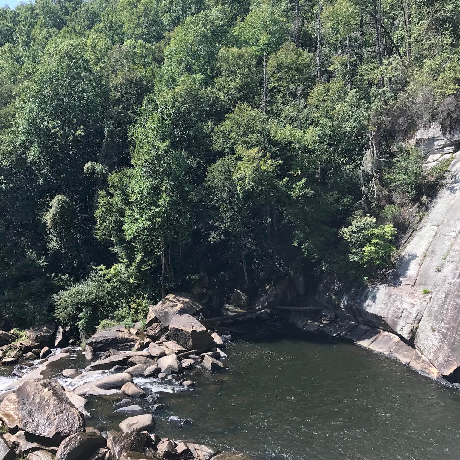 Gorges State Park: NC's Hidden Gem – A Nature Lover's Paradise