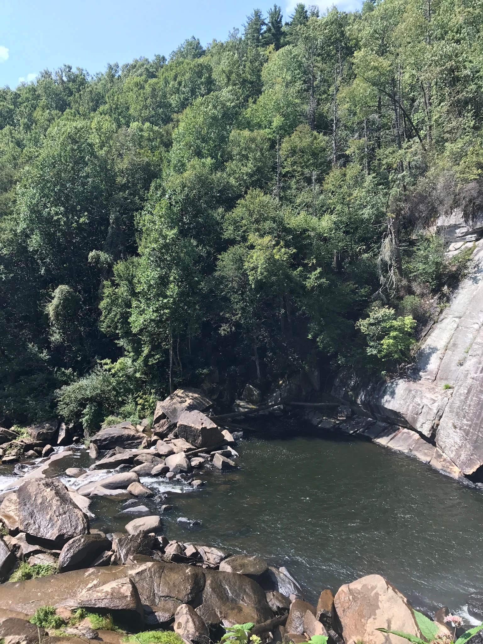 Camper submitted image from Gorges State Park Campground - 3