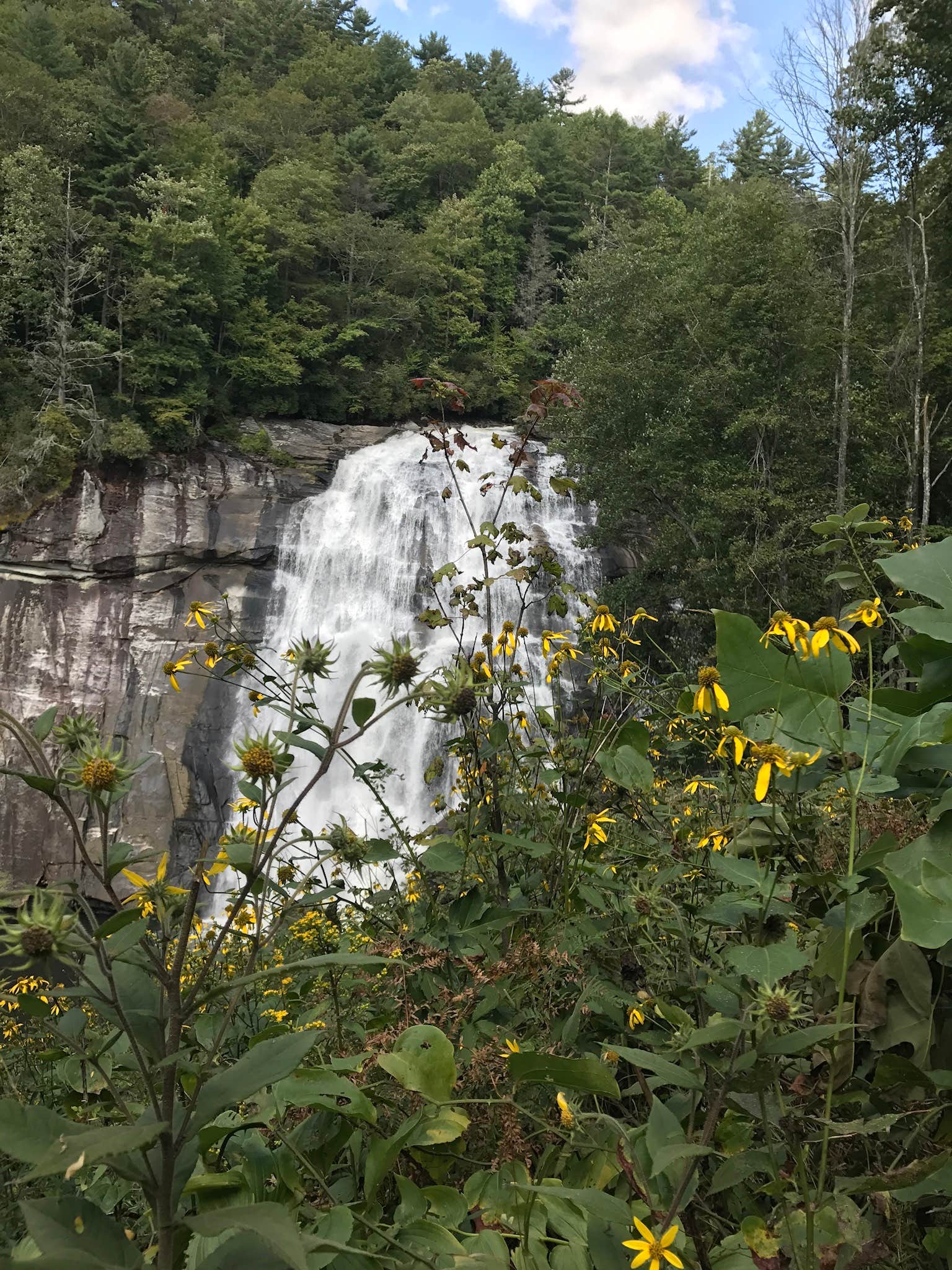 Camper-submitted photo at Gorges State Park Campground near Balsam Grove, NC