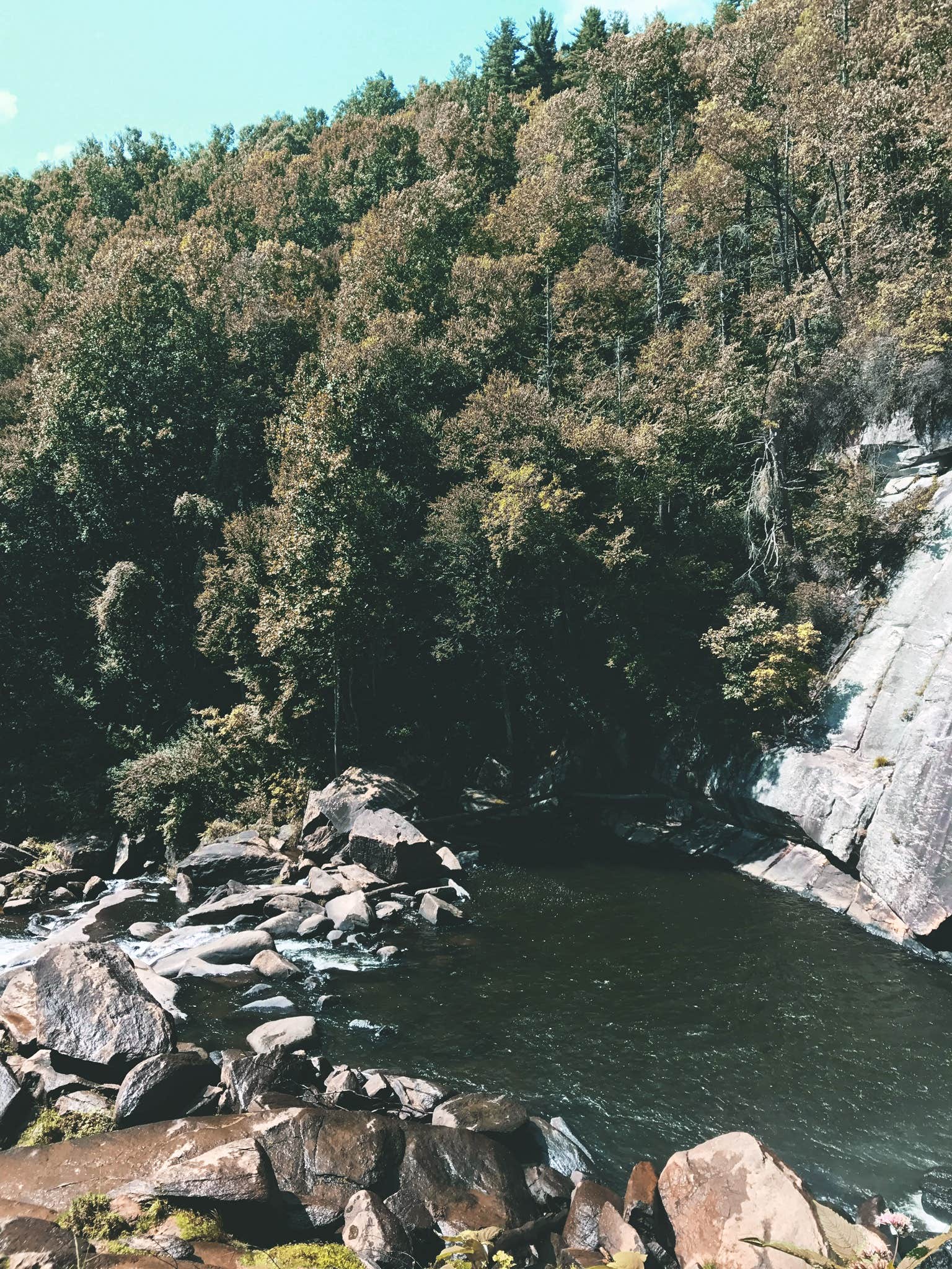 Camper-submitted photo at Gorges State Park Campground near Balsam Grove, NC