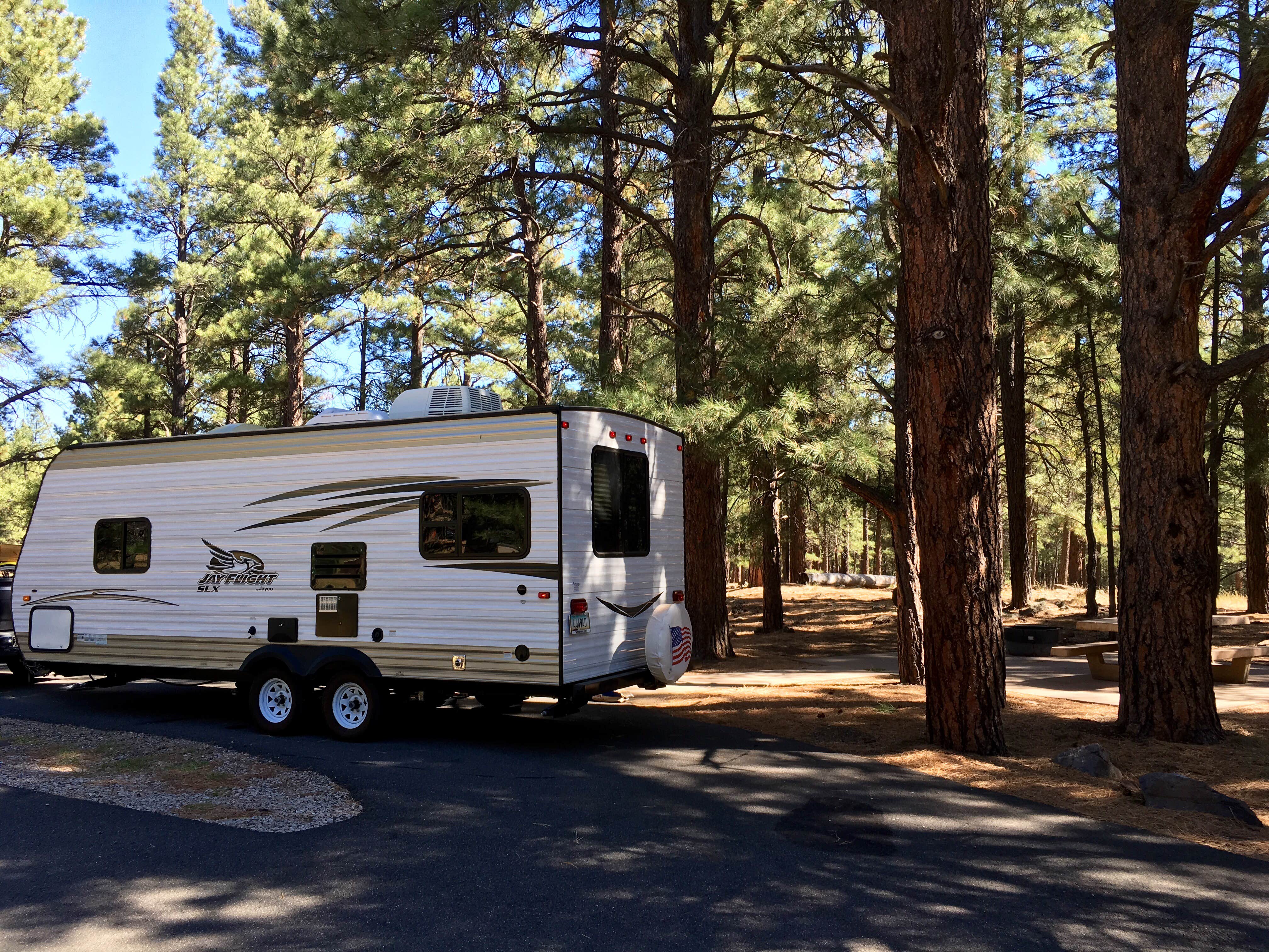 Camper submitted image from Pinegrove Campground - 4
