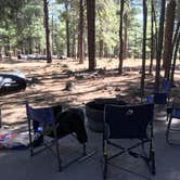 Review photo of Pinegrove Campground by Kristen S., October 3, 2017