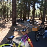 Review photo of Pinegrove Campground by Kristen S., October 3, 2017