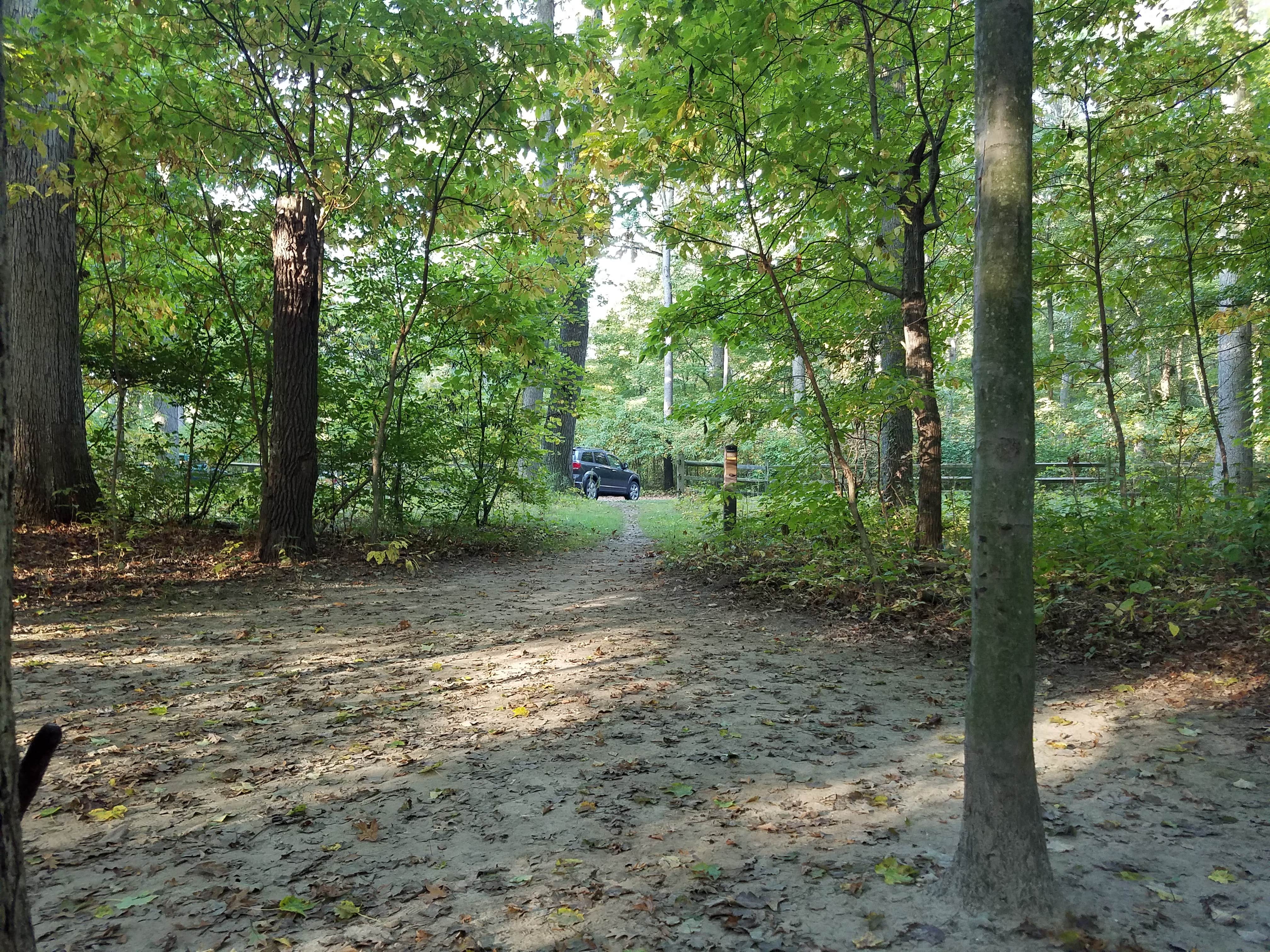 White oak sale campground