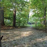 Review photo of White Oak Campground by Cassandra C., October 3, 2017