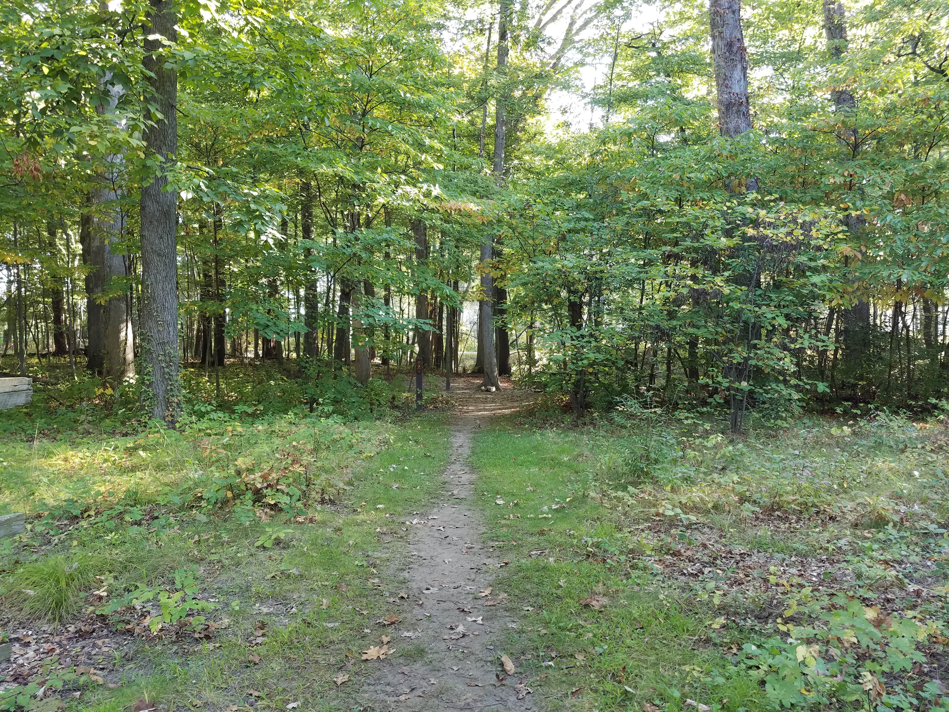 White oak campground deals