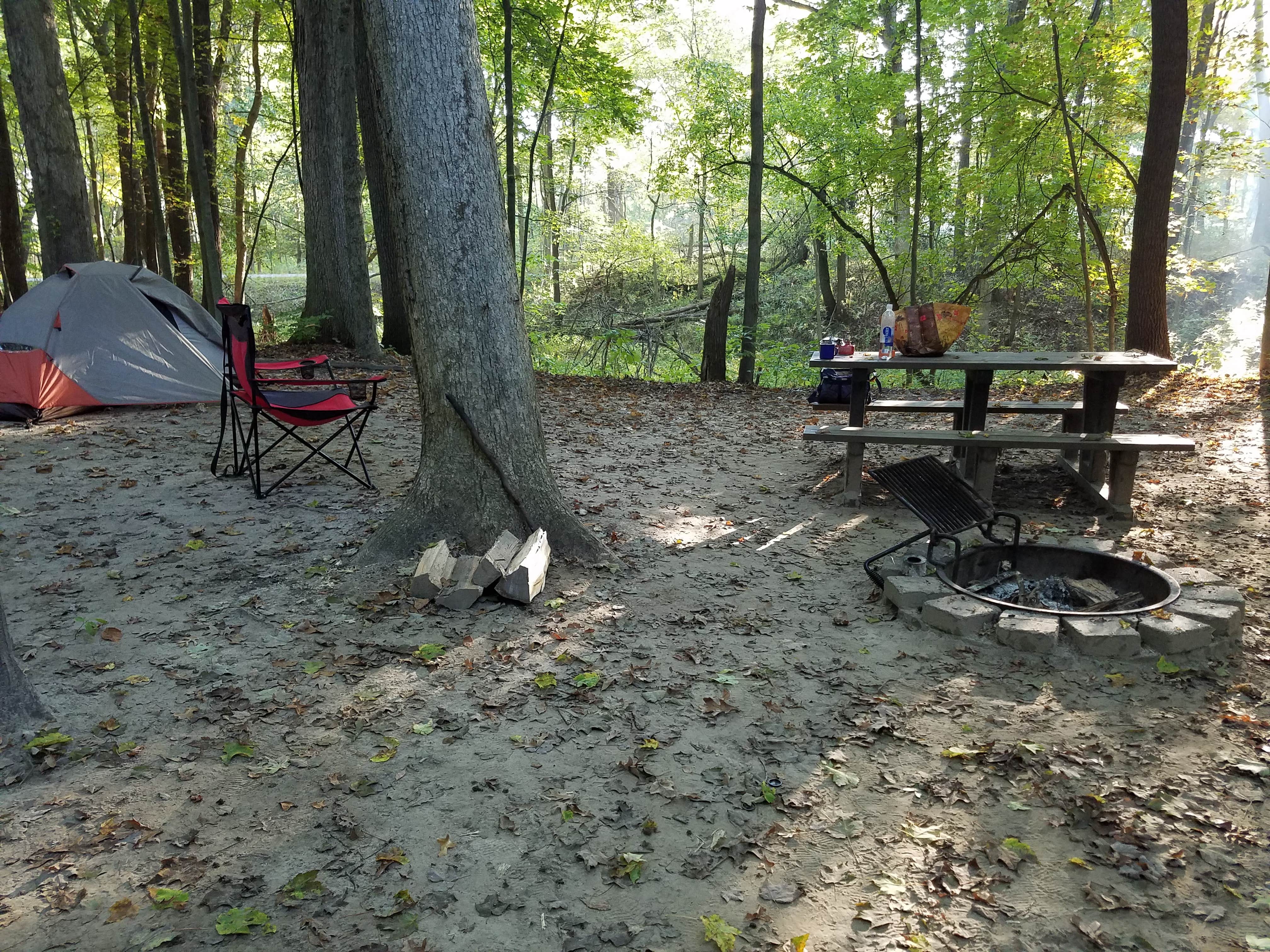 Camper submitted image from White Oak Campground - 3
