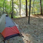 Review photo of White Oak Campground by Cassandra C., October 3, 2017