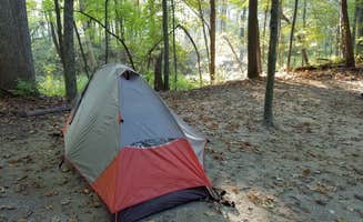 Cassandra C.'s photo at White Oak Campground near Bradner, OH