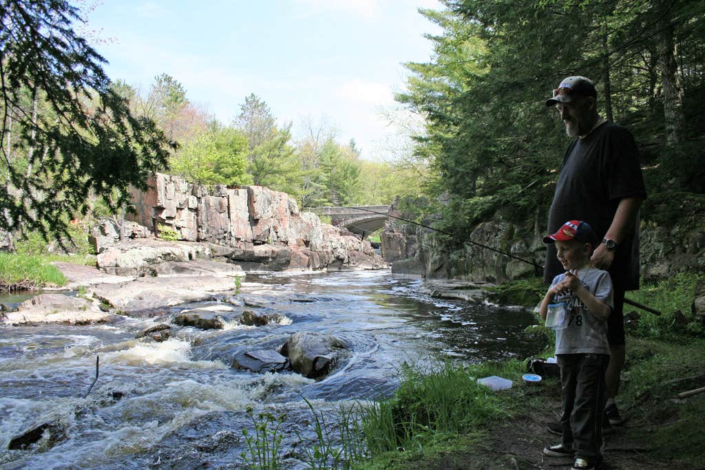 Camper submitted image from Dells of the Eau Claire Park Campground - 4