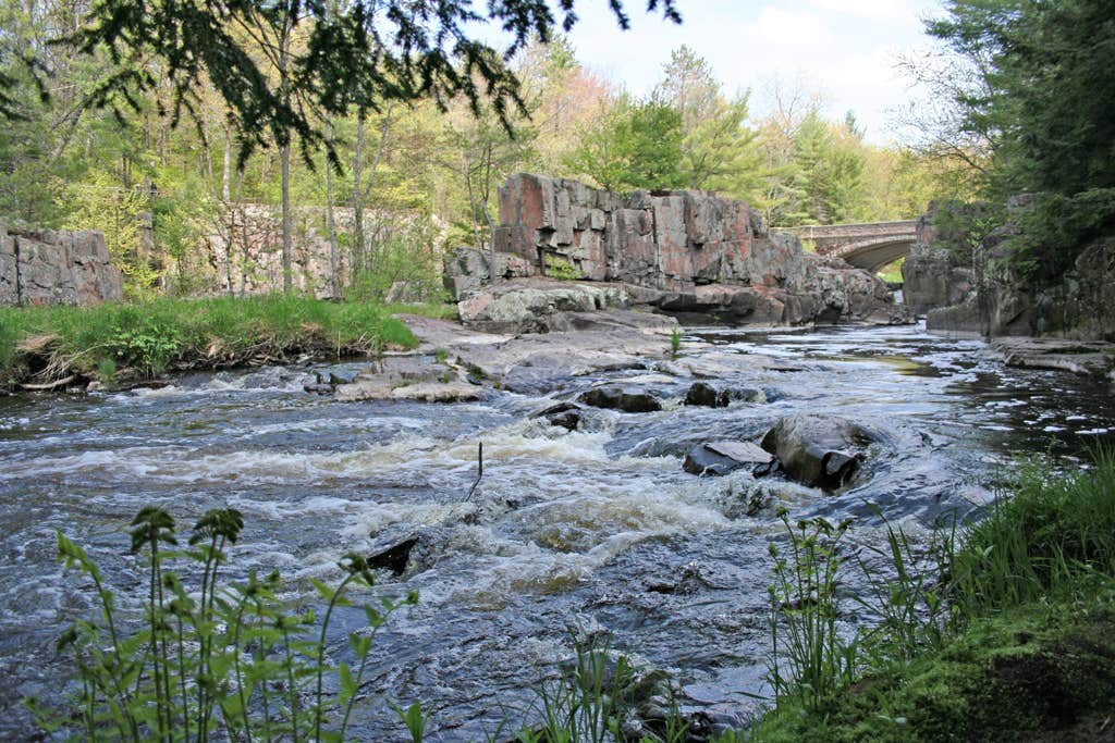 Camper submitted image from Dells of the Eau Claire Park Campground - 3