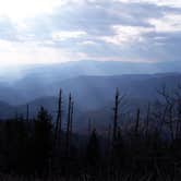 Review photo of Elkmont Campground — Great Smoky Mountains National Park by Amber A., July 1, 2016