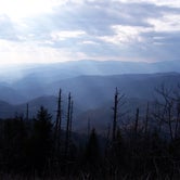 Review photo of Elkmont - Great Smoky Mountains National Park by Amber A., July 1, 2016