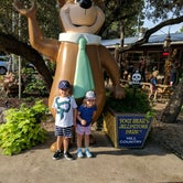 Review photo of Yogi Bear's Jellystone Park™ Camp-Resort: Hill Country by Ashley C., October 3, 2017