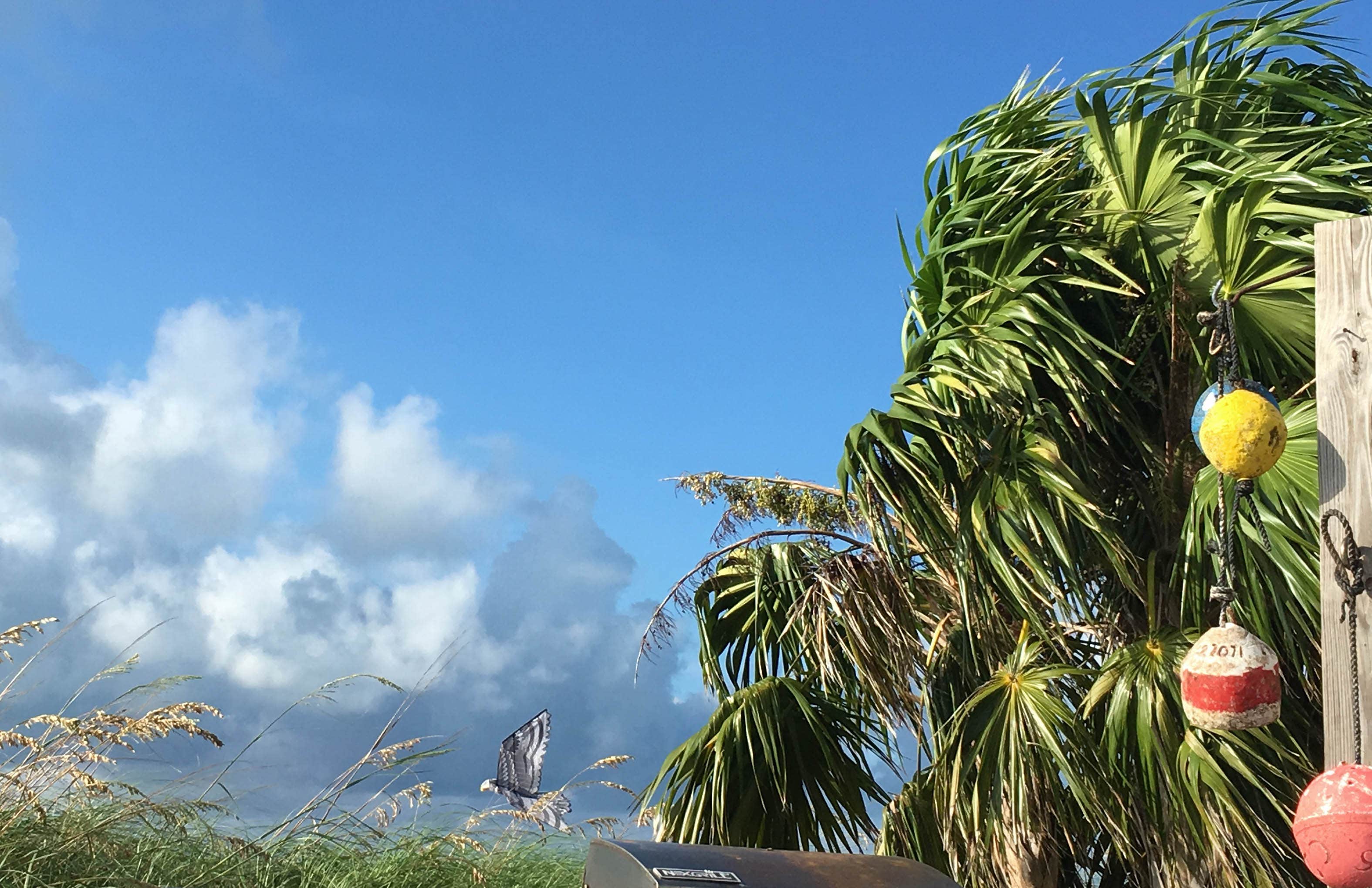 Camper-submitted photo at Curry Hammock State Park Campground near Islamorada, Village of Islands, FL