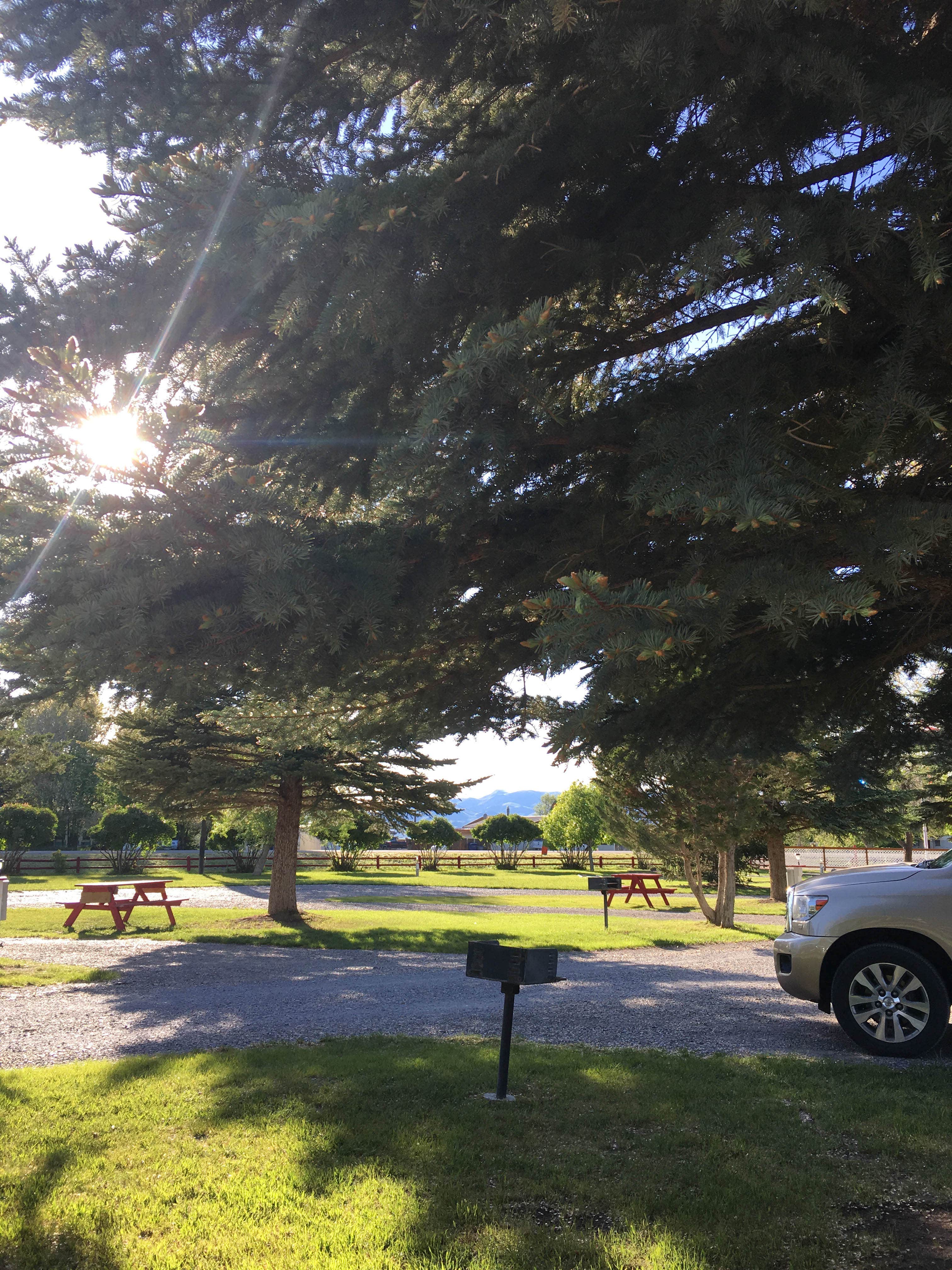 Camper submitted image from Mountain View RV Park - 2