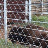 Review photo of El Reno West KOA by Myron C., May 30, 2020