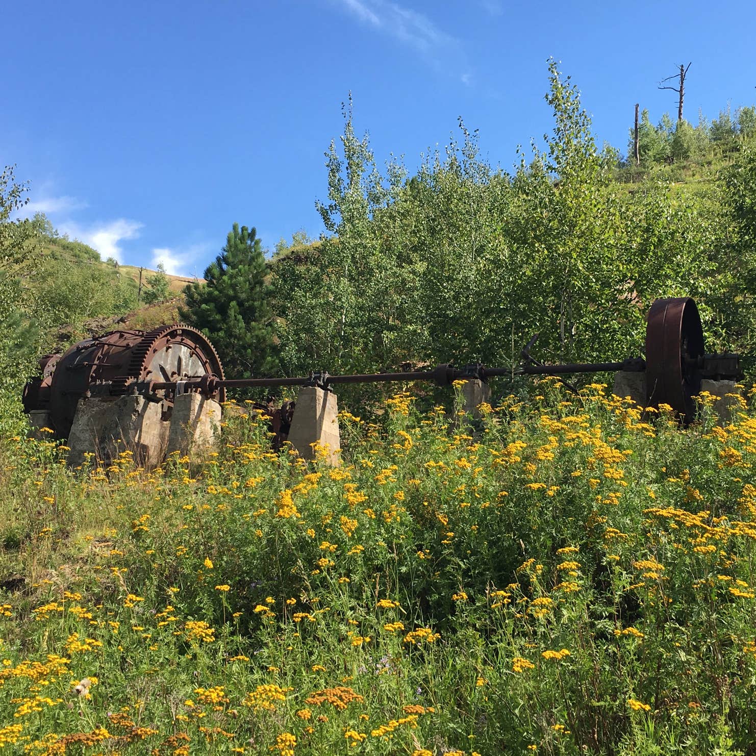 Whistler Gulch Campground & RV Park Camping | The Dyrt