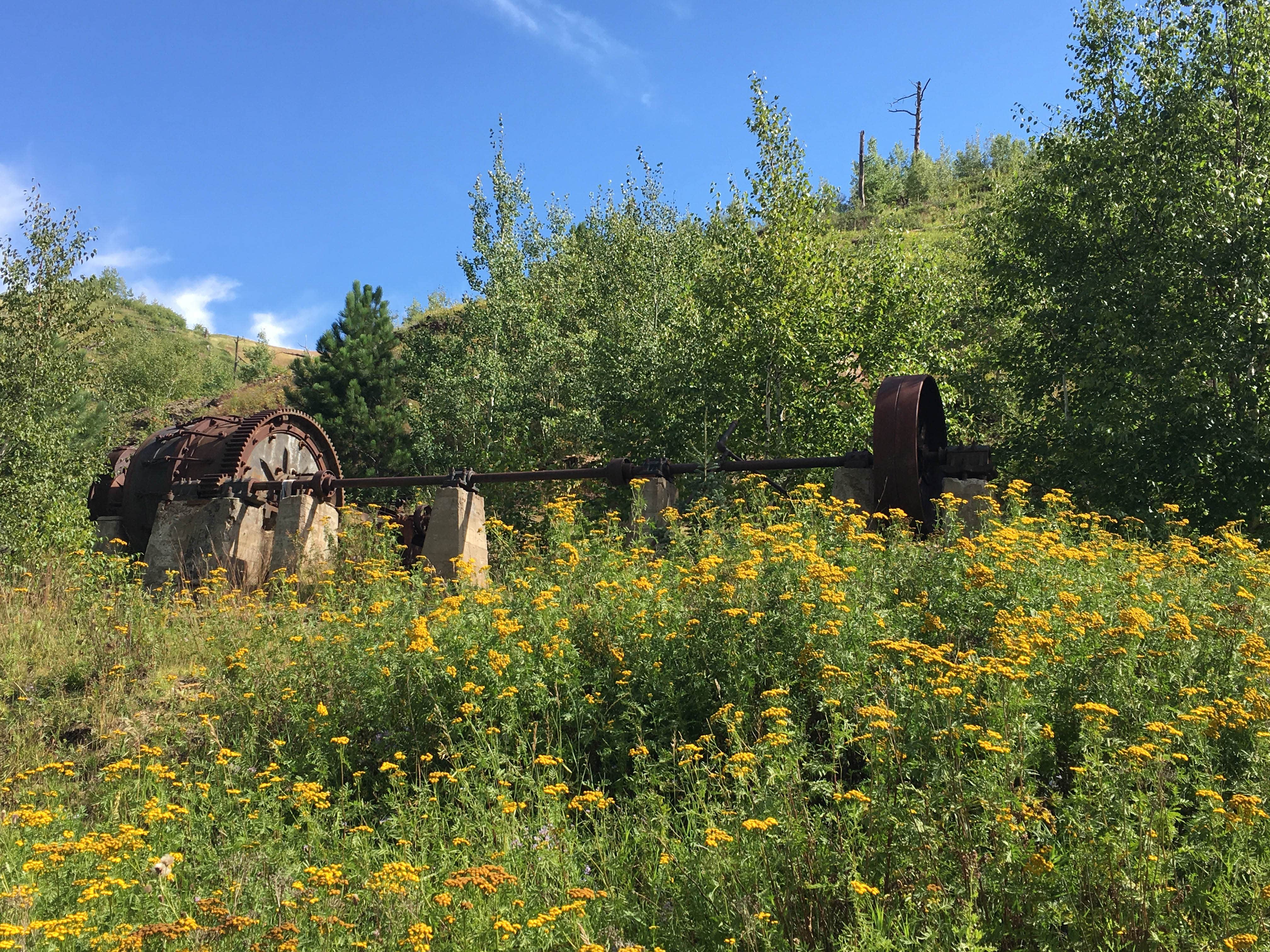 Camper submitted image from Whistler Gulch Campground & RV Park - 4