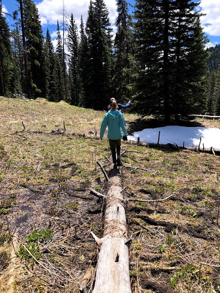 Camper-submitted photo at Beaver Creek Campground near Big Sky, MT