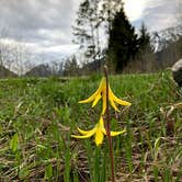 Review photo of Beaver Creek Campground by Sarah N., May 30, 2020