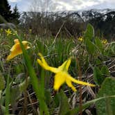 Review photo of Beaver Creek Campground by Sarah N., May 30, 2020