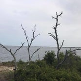 Review photo of Big Lagoon State Park Campground by Ray P., May 26, 2020