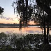 Review photo of Paynes Prairie Preserve State Park Campground by Ray P., May 25, 2020