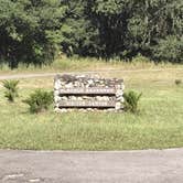 Review photo of Paynes Prairie Preserve State Park Campground by Ray P., May 25, 2020