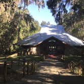 Review photo of Paynes Prairie Preserve State Park Campground by Ray P., May 25, 2020
