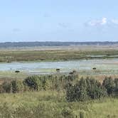 Review photo of Paynes Prairie Preserve State Park Campground by Ray P., May 25, 2020