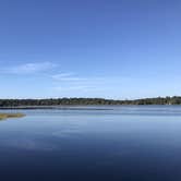 Review photo of Paynes Prairie Preserve State Park Campground by Ray P., May 25, 2020